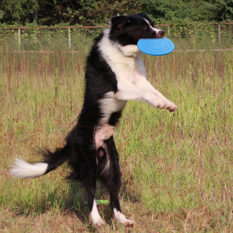 Frisbee per Cani - Gioco Interattivo per Addestramento