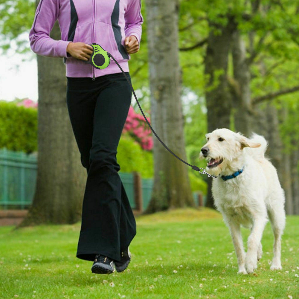 Guinzaglio Automatico Retrattile da 5 metri per Cani