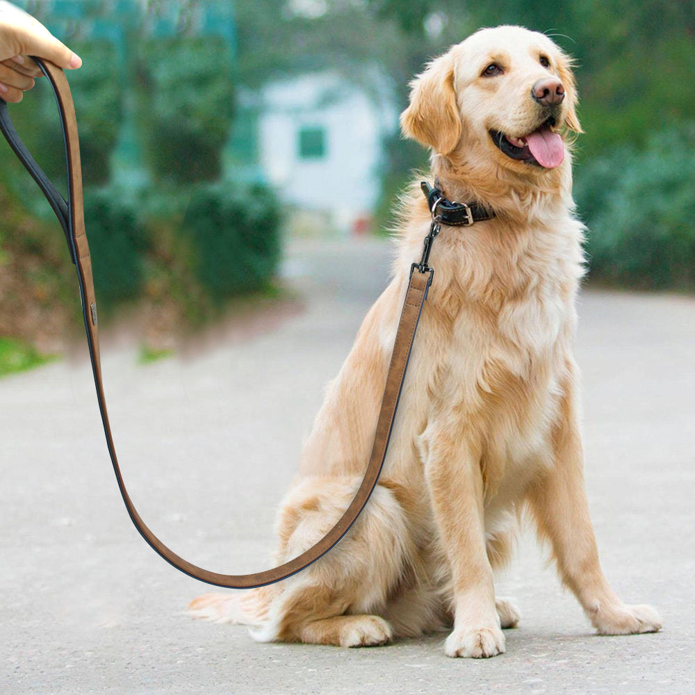 Guinzaglio e Collare in Pelle per Cani e Cuccioli