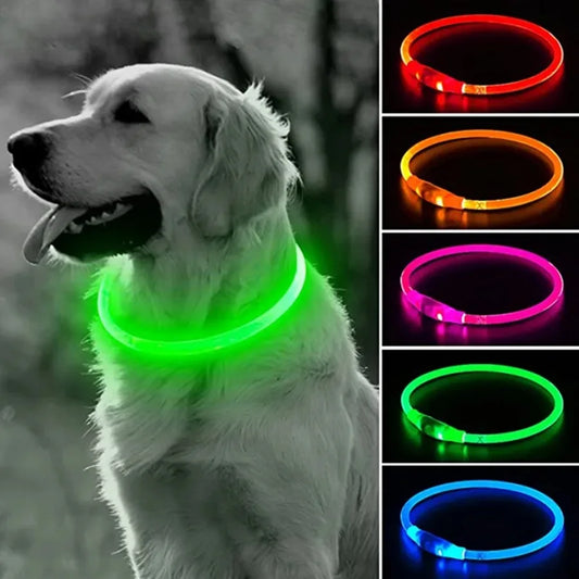 Collare LED Luminoso per Cani - USB Ricaricabile con 3 Modalità di Luce