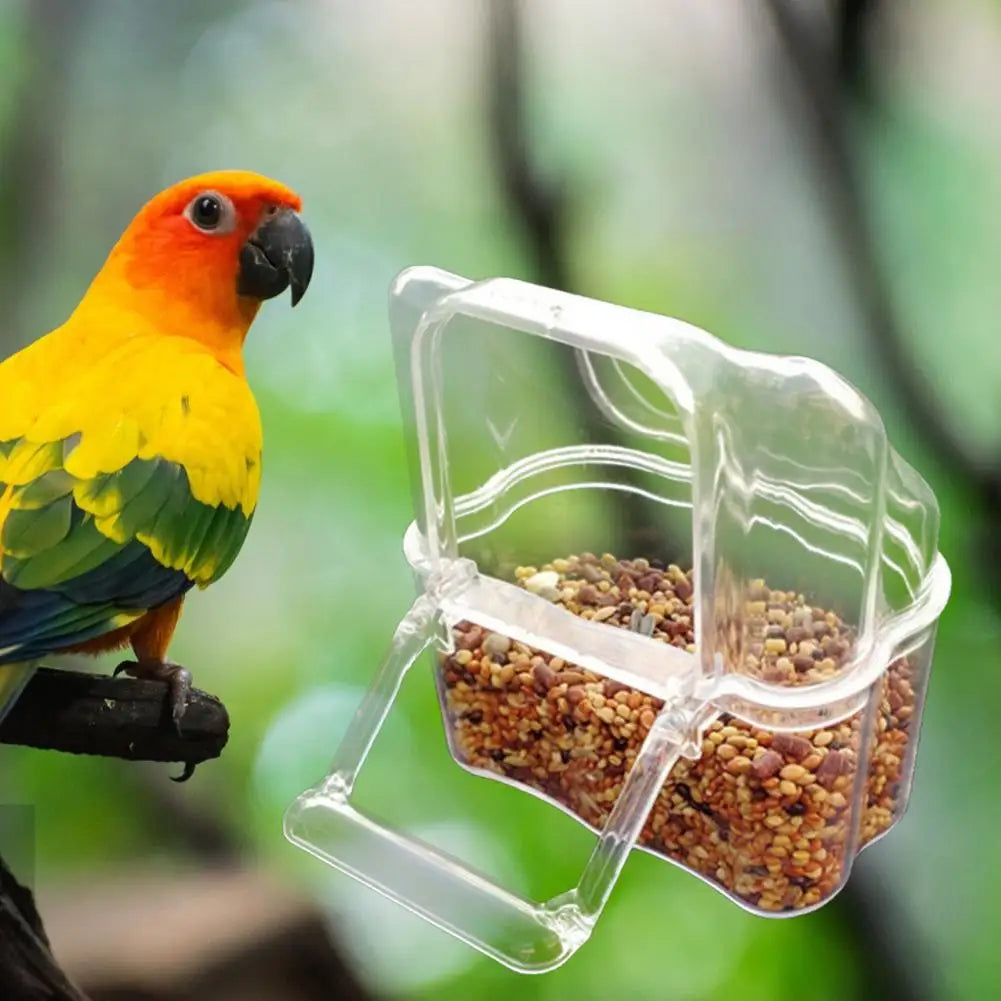 Mangiatoia Trasparente - Dispenser a Grande Capacità per Gabbie