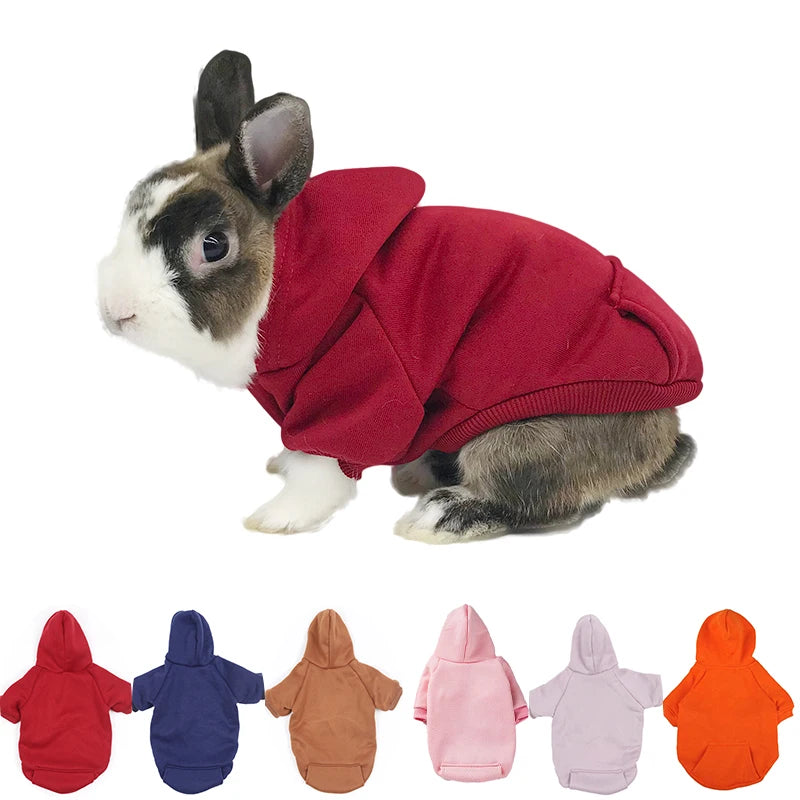 Maglione Caldo per Animali Domestici - Autunno/Inverno con Tasca Bunny e Design a Due Zampe