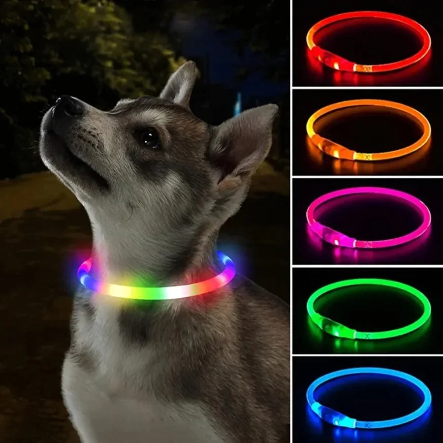 Collare LED Luminoso per Cani - USB Ricaricabile con 3 Modalità di Luce