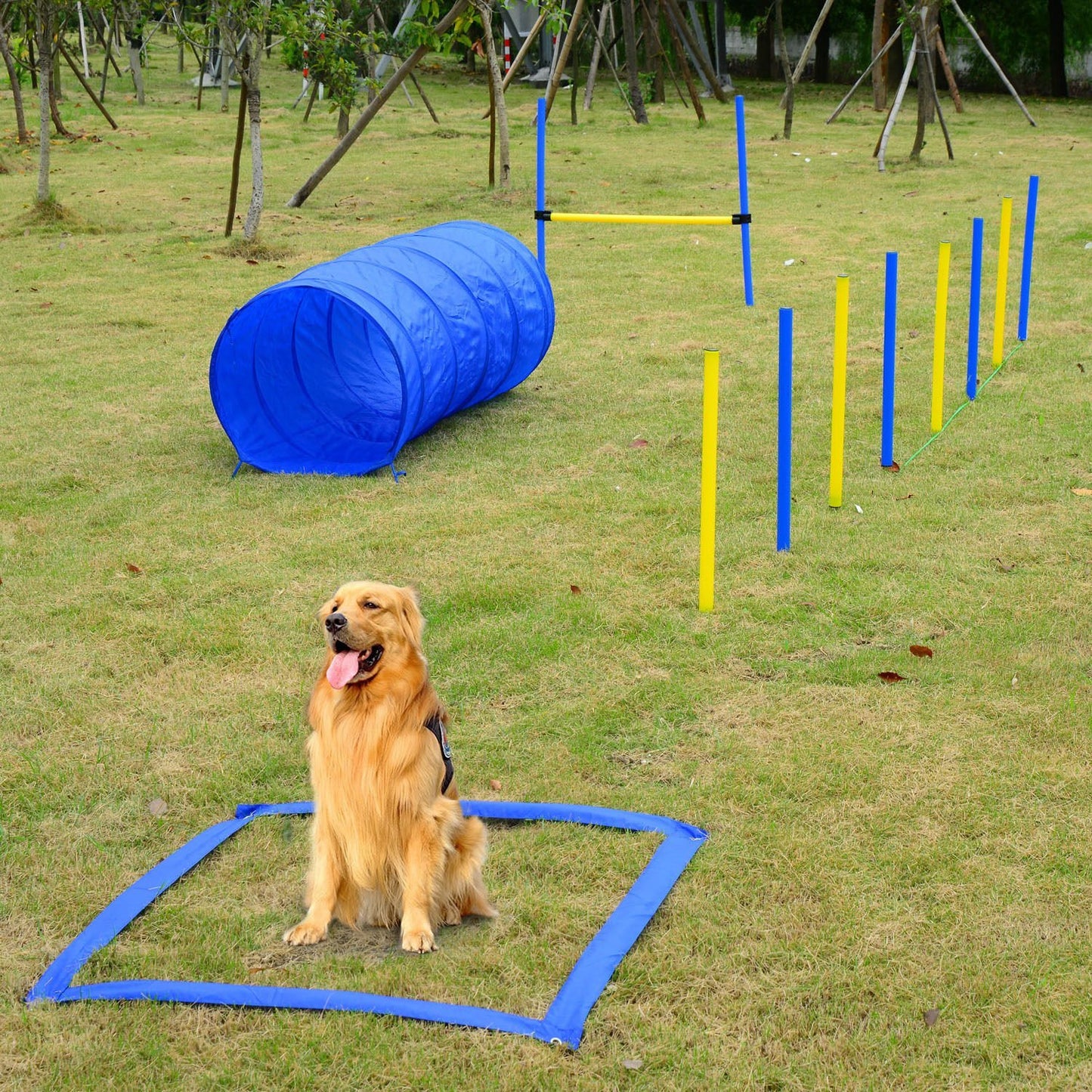 Kit Agility per Cani - Set per Addestramento ed Esercizio all'Aperto