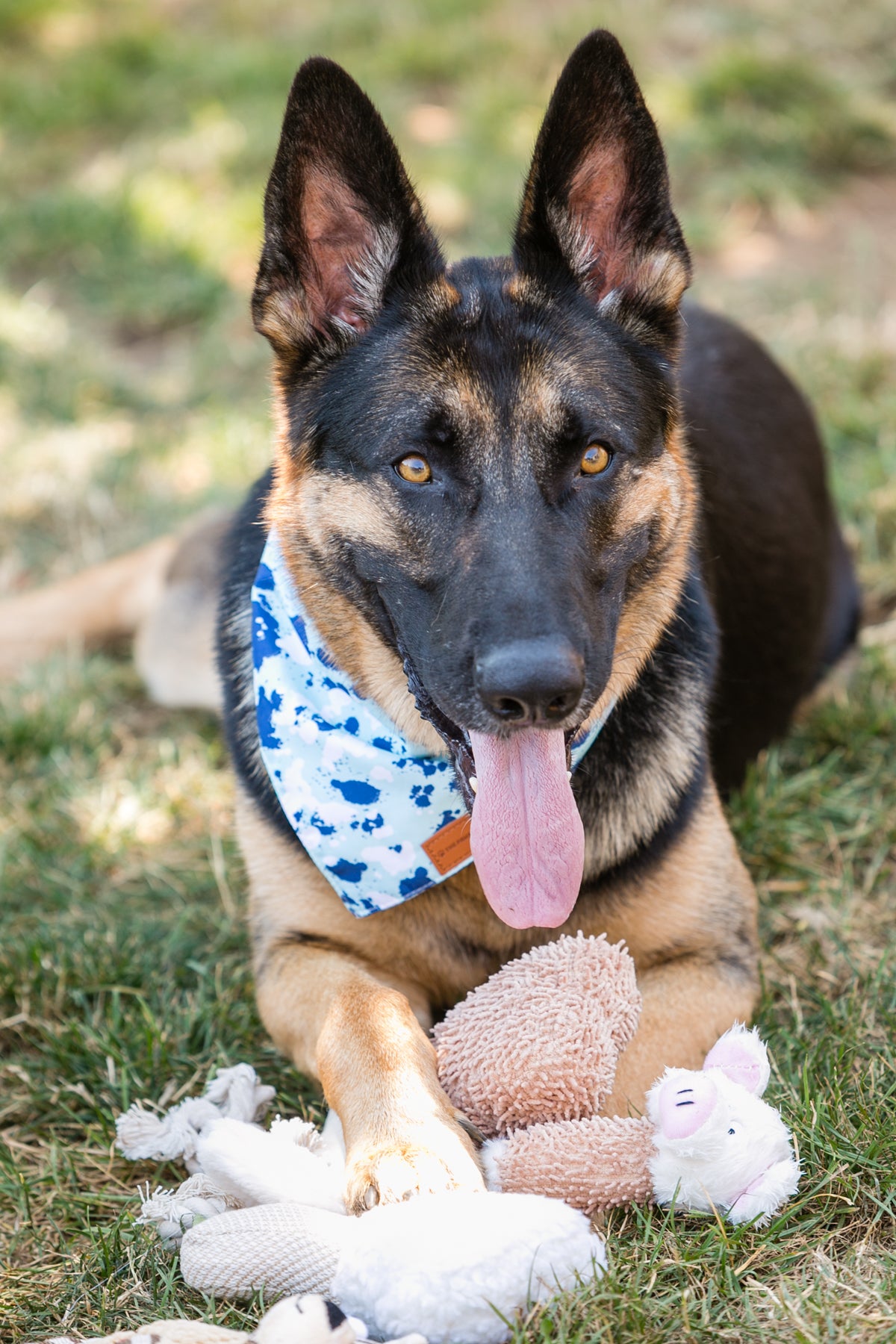 Set di 6 Giocattoli in Peluche Adorabili per Cani