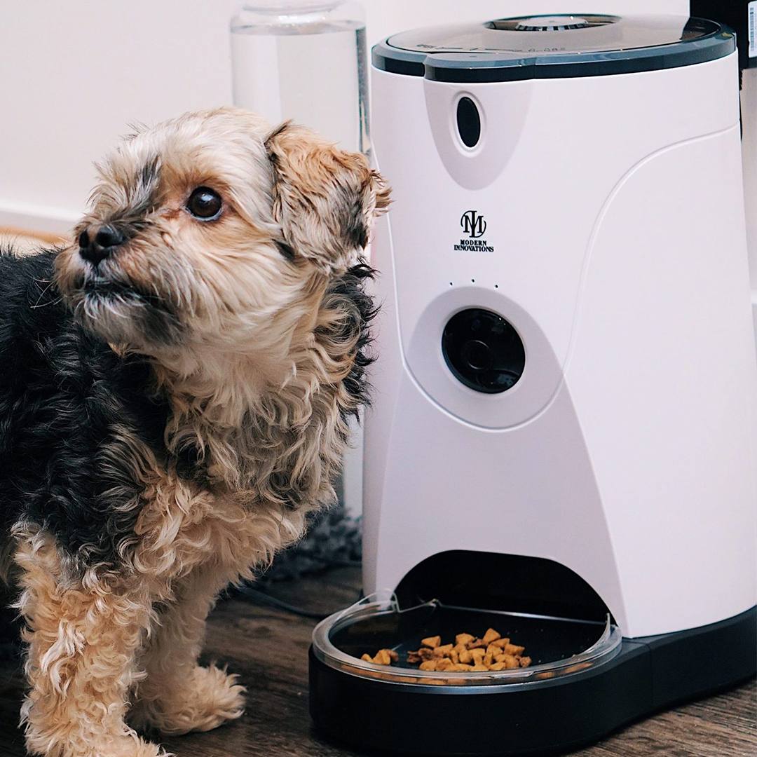 Dispenser Automatico per Cibo con Controllo Remoto