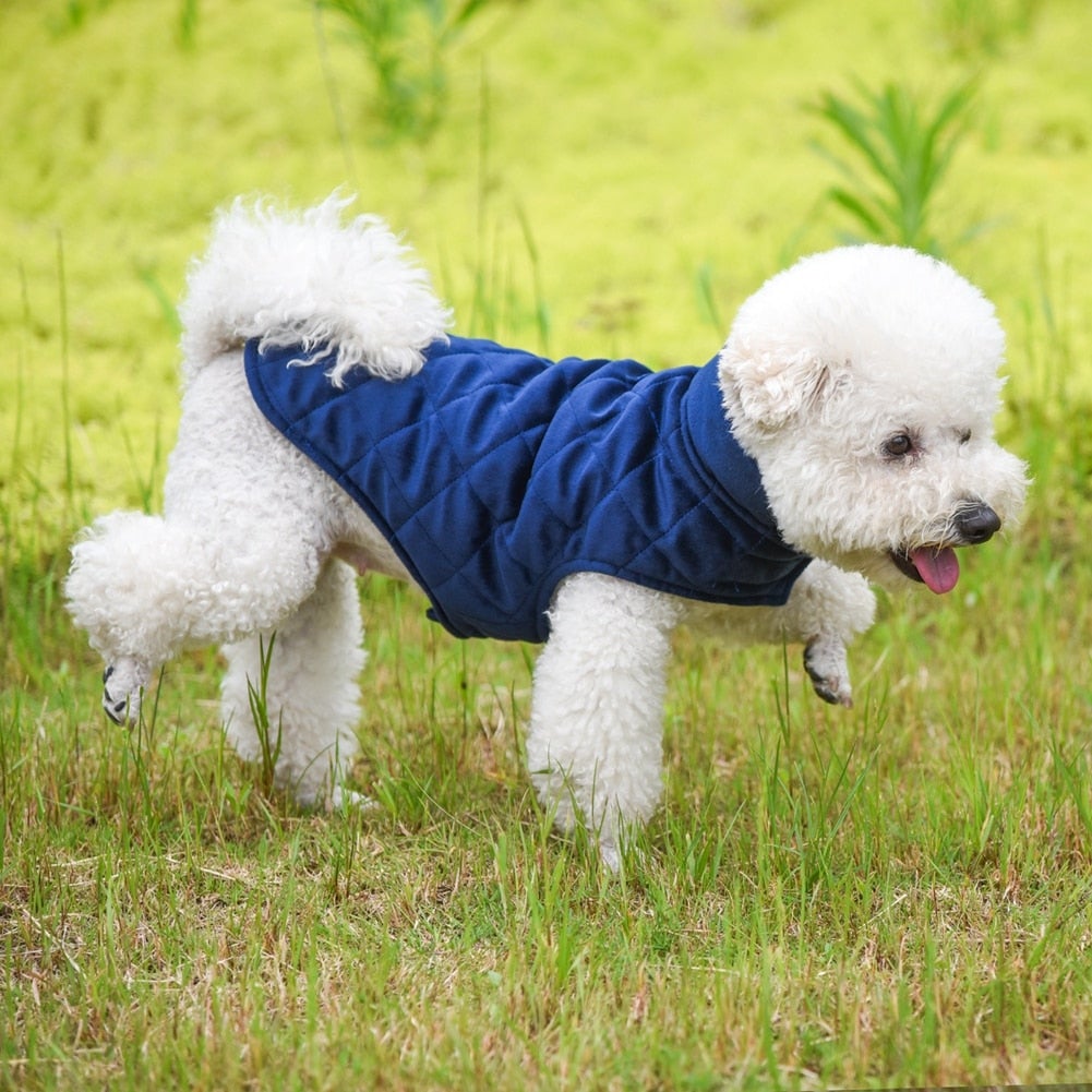 Gilet Invernale Caldo per Cani