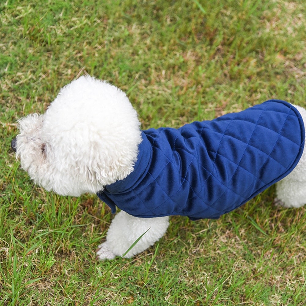 Gilet Invernale Caldo per Cani