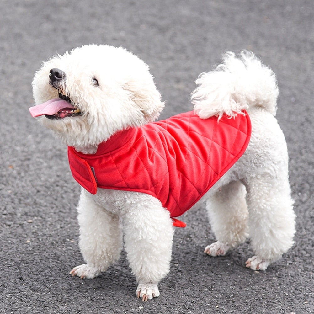 Gilet Invernale Caldo per Cani